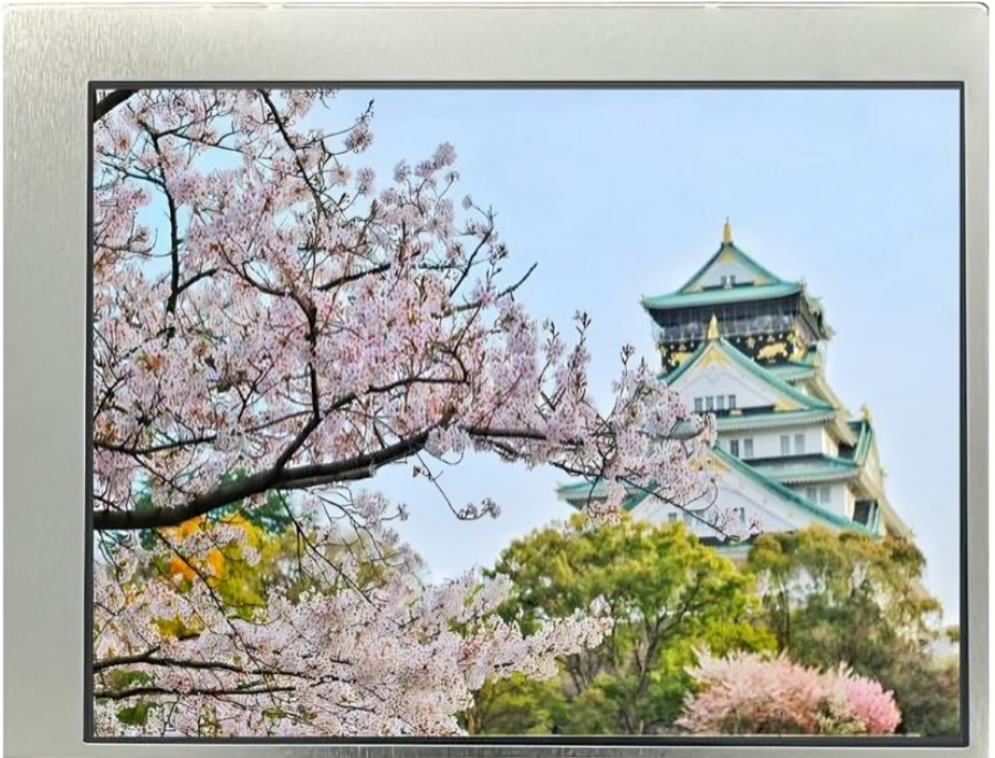 TCG057VGLAAANN-GN20: Designed for Tough Industrial Handhelds